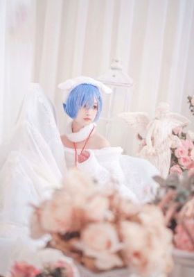 花儿与少年老友记免费观看完整版_DVD高清视频播放